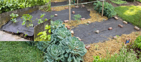 Why use grass-proof cloth in autumn and winter?