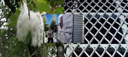 Metal Mesh vs. PreVent Prefilter: Which Works Better with Cottonwood Seedlings?
