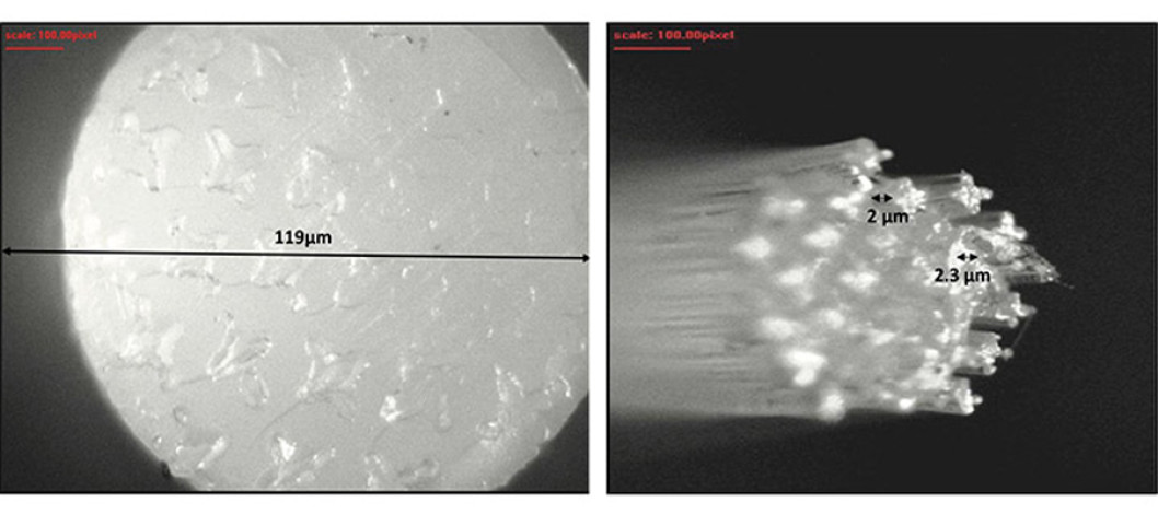 Is a Sustainable Polymer Really Possible?