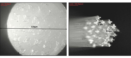 Is a Sustainable Polymer Really Possible?